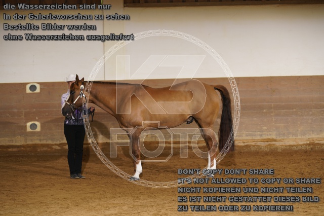 s_DSC01063.JPG